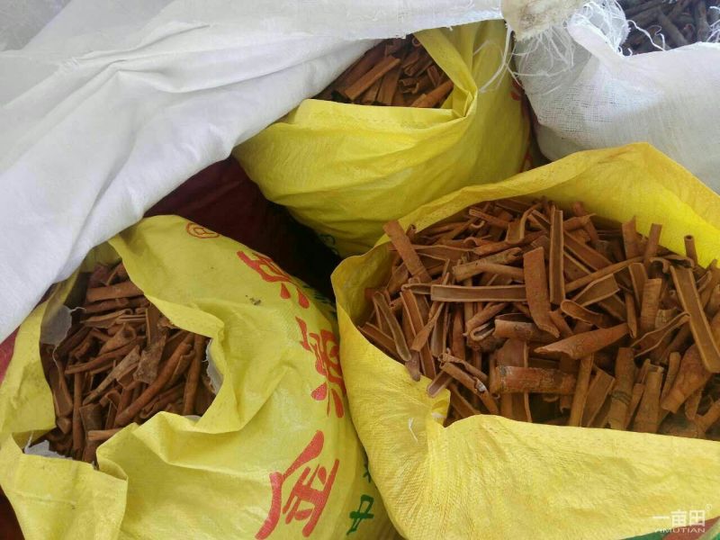 烟仔桂散装统货