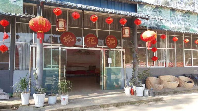 鲤鱼1~2公斤食用