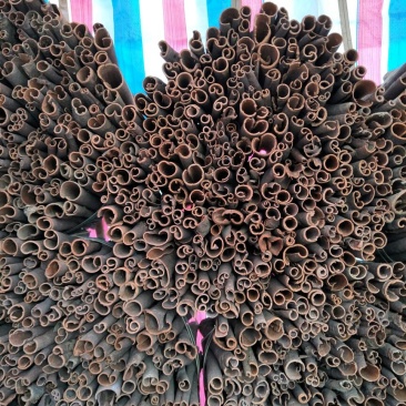 桂皮散装统货