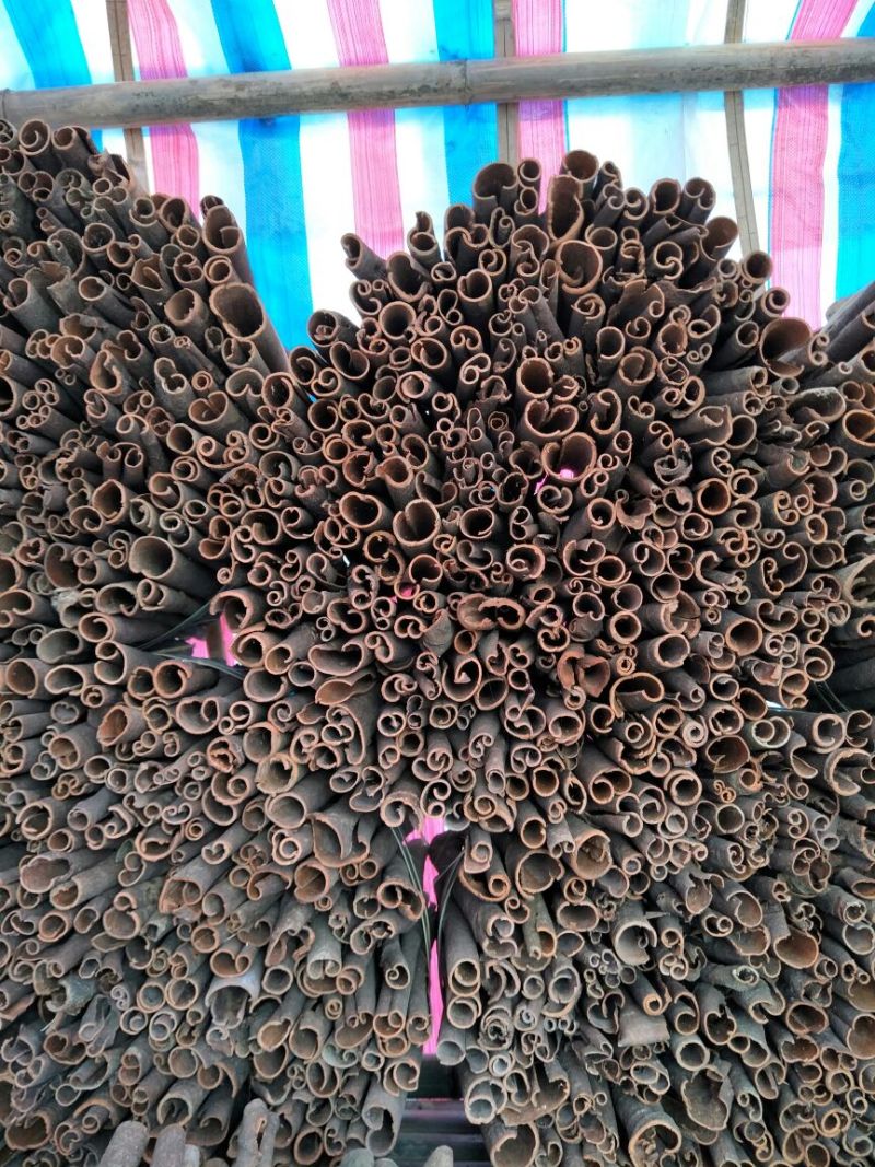 桂皮散装统货