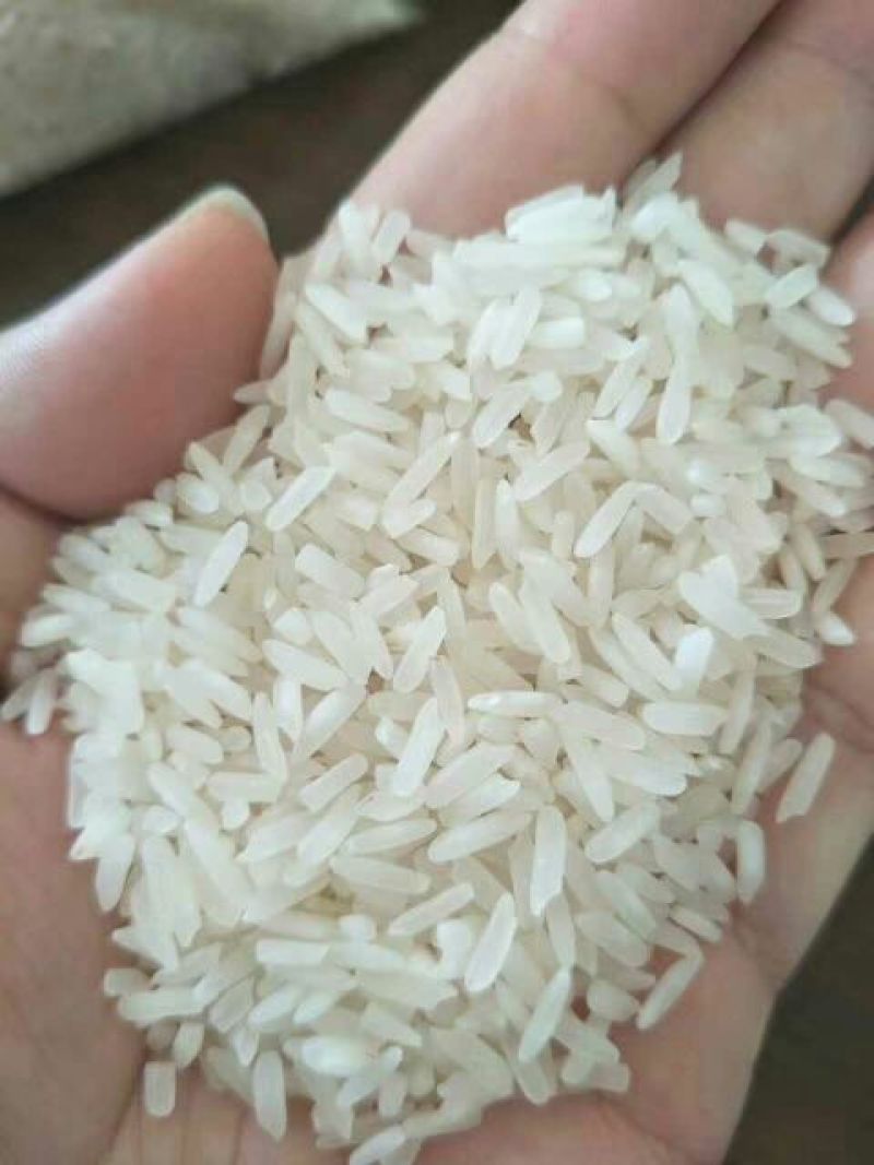 圆粒大米