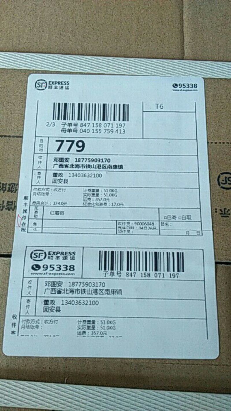 红薯苗15~25cm