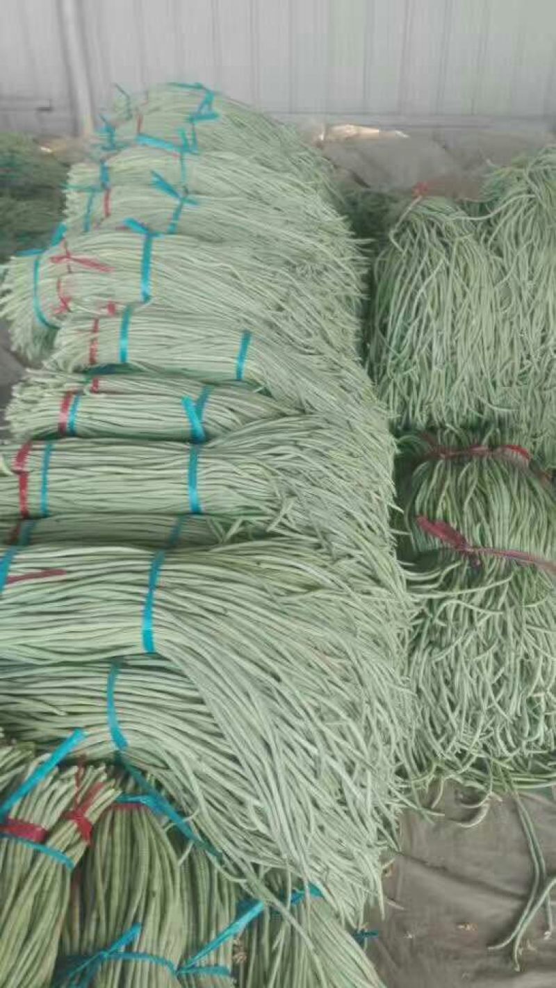 长豆角70厘米以上产地直供量大从优全国发货