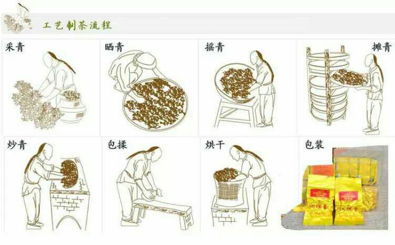 铁观音特级