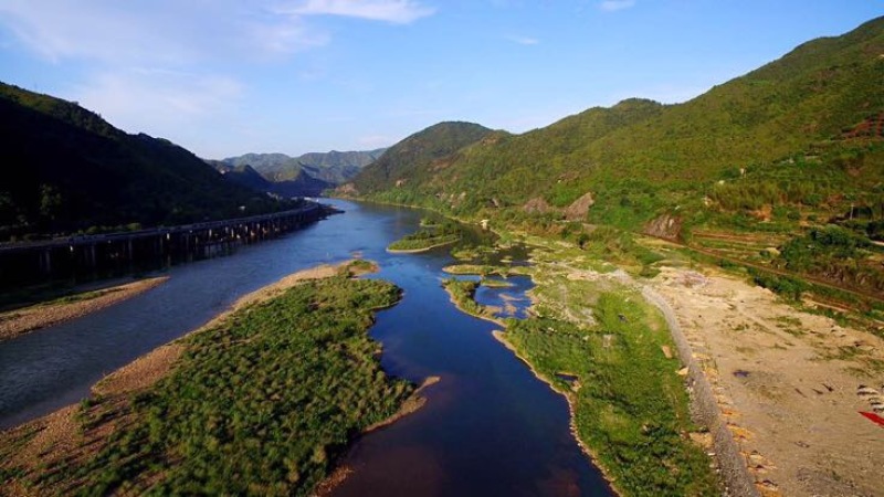 东魁杨梅