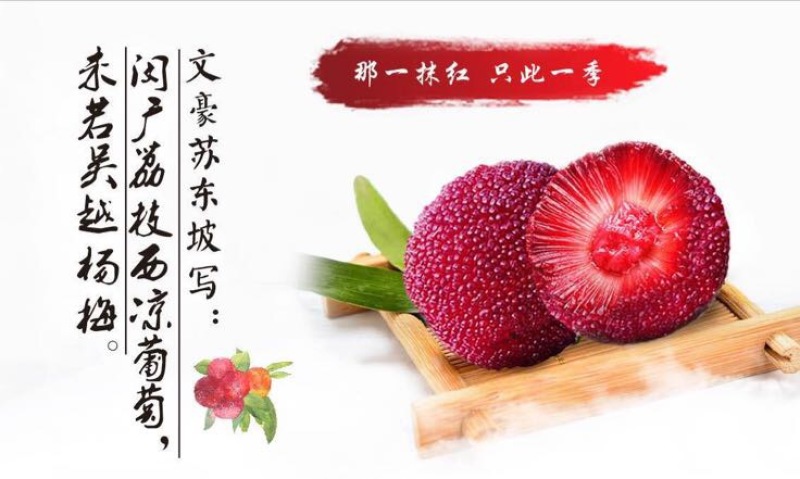 东魁杨梅