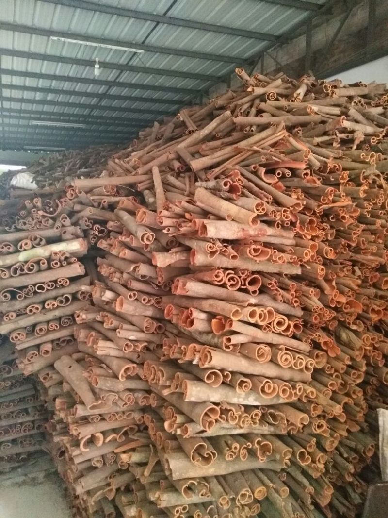 桂皮散装统货