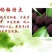 靖州杨梅1.5~2cm