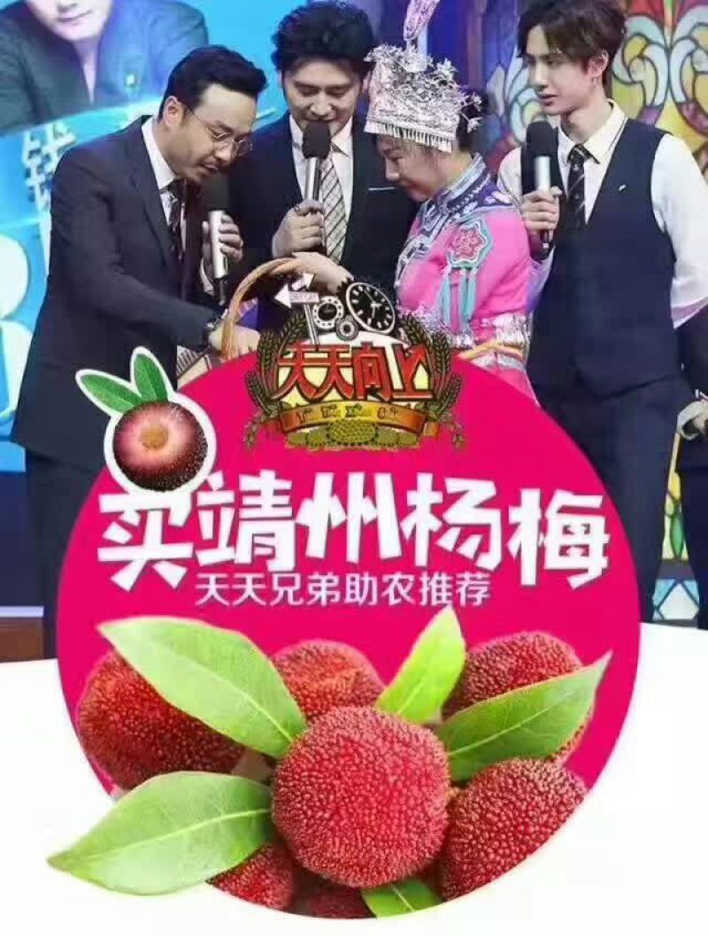 靖州杨梅1.5~2cm