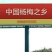 靖州杨梅1.5~2cm