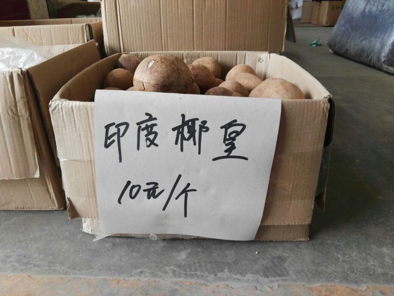 椰子1~1.5斤