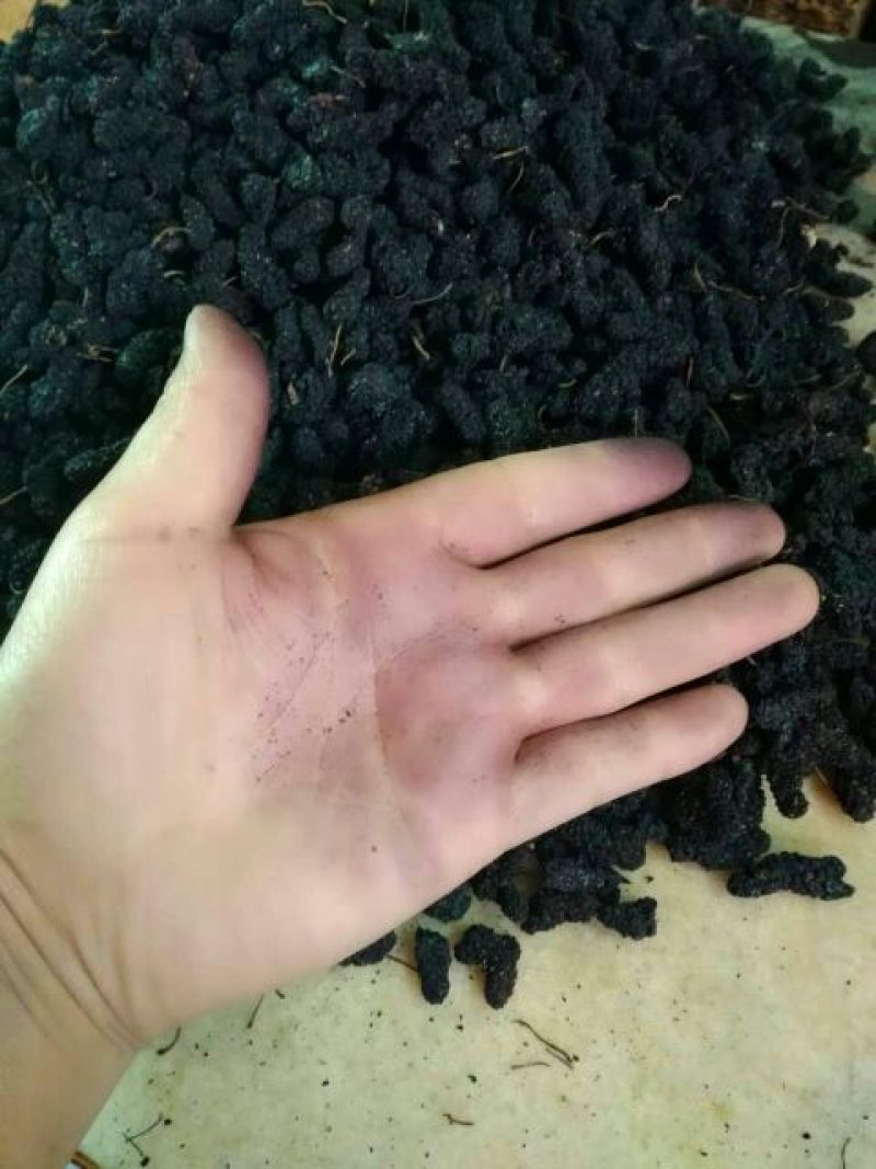 桑葚干～优质干烘特级桑果干16晒干特级15！1斤起批发价
