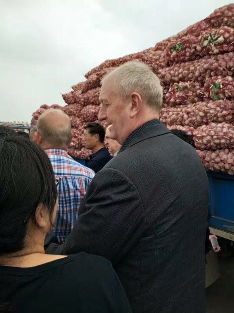 金乡大蒜混级通货干蒜