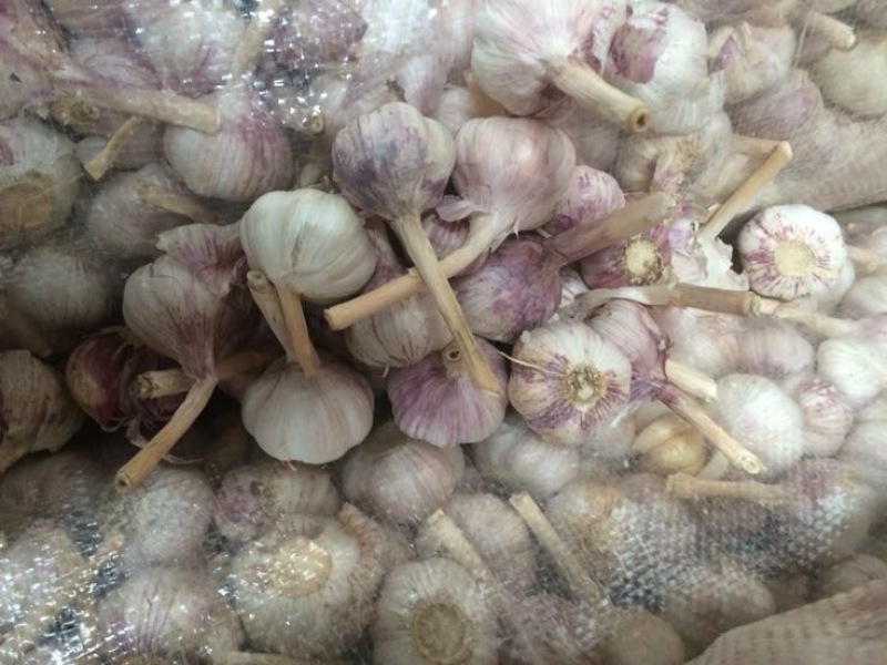 金乡大蒜混级通货干蒜