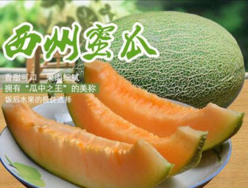 西州蜜瓜