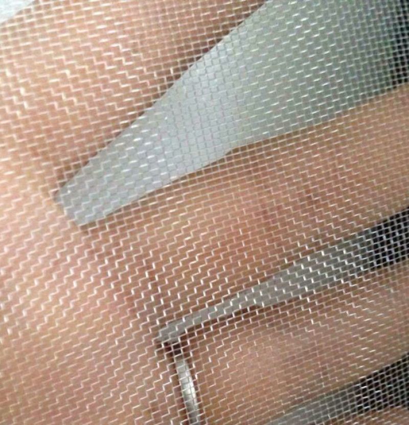 防虫网50目