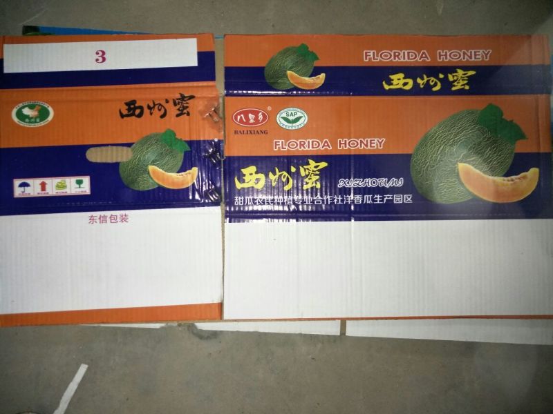 西州蜜瓜3斤以上椭圆形