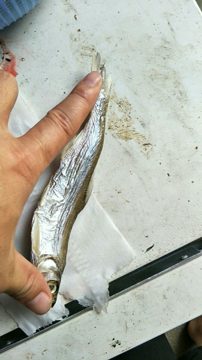 火焙鱼稻谷香味