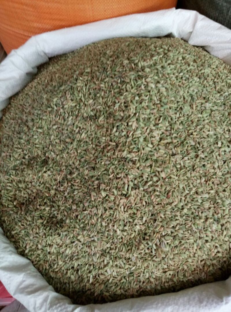 小茴香净货