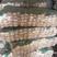 金乡紫皮大蒜全年有货产地直销加工发货支持各种包装
