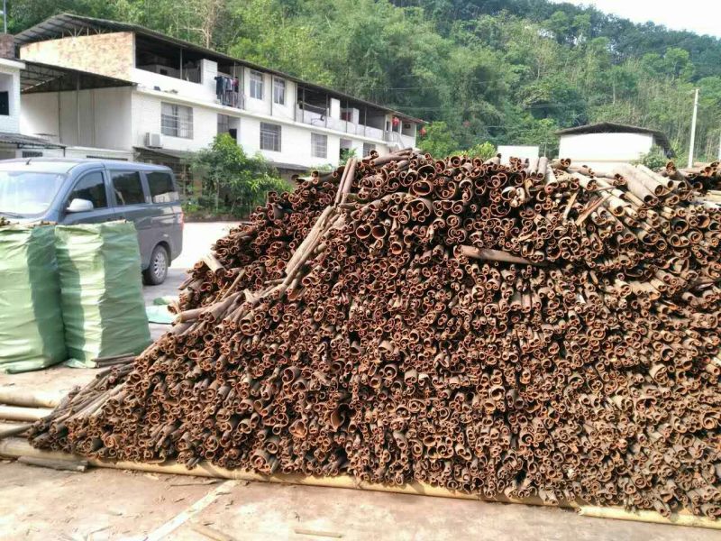 厚肉桂包装大通