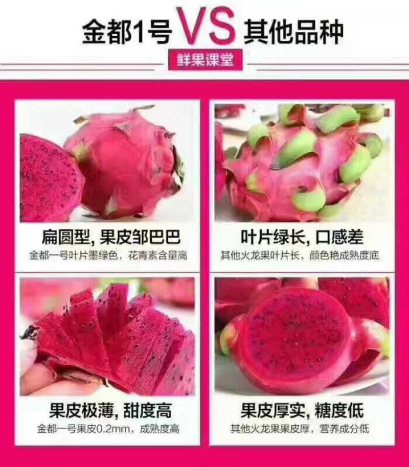 红心火龙果大（7两以上）