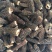 干羊肚菌，人工培植5公分以上