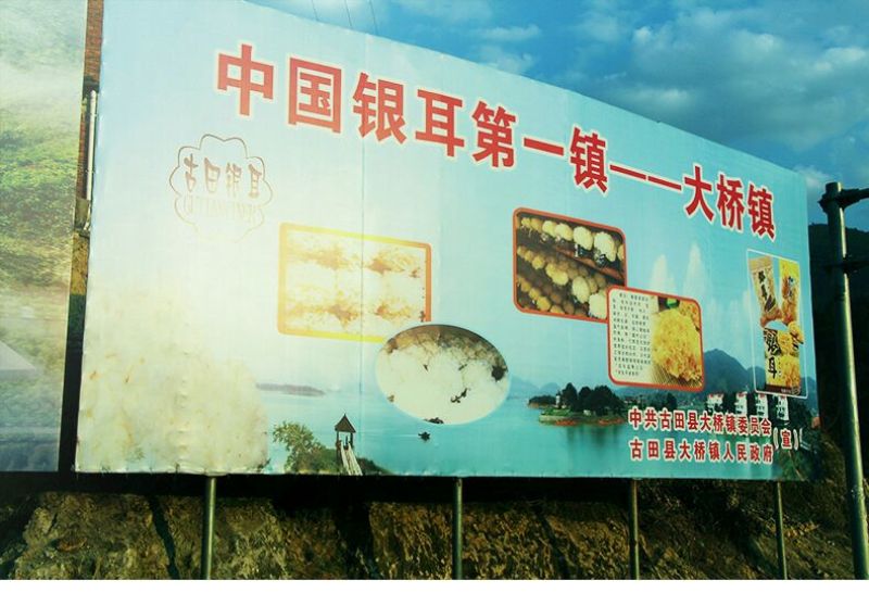 银耳特级