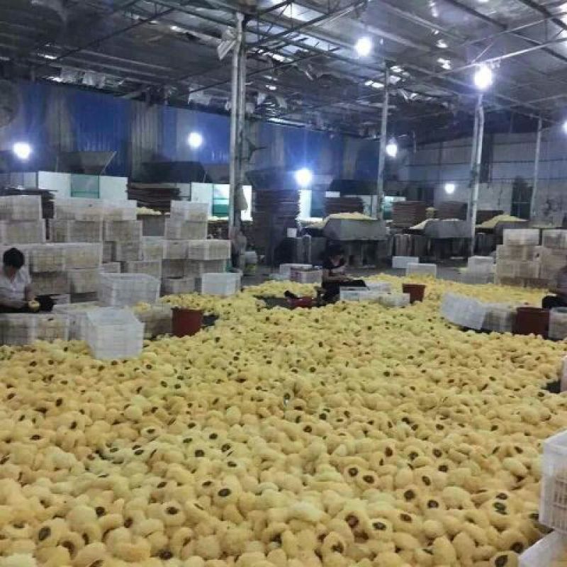 银耳特级
