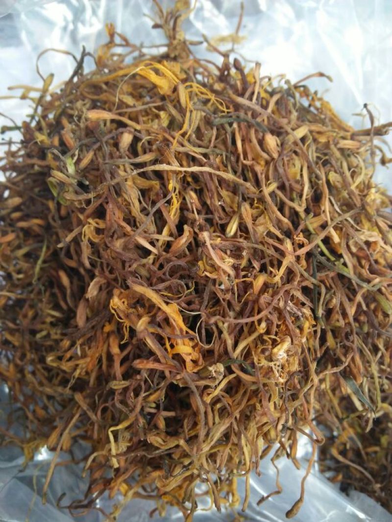 金银花色白花无杆
