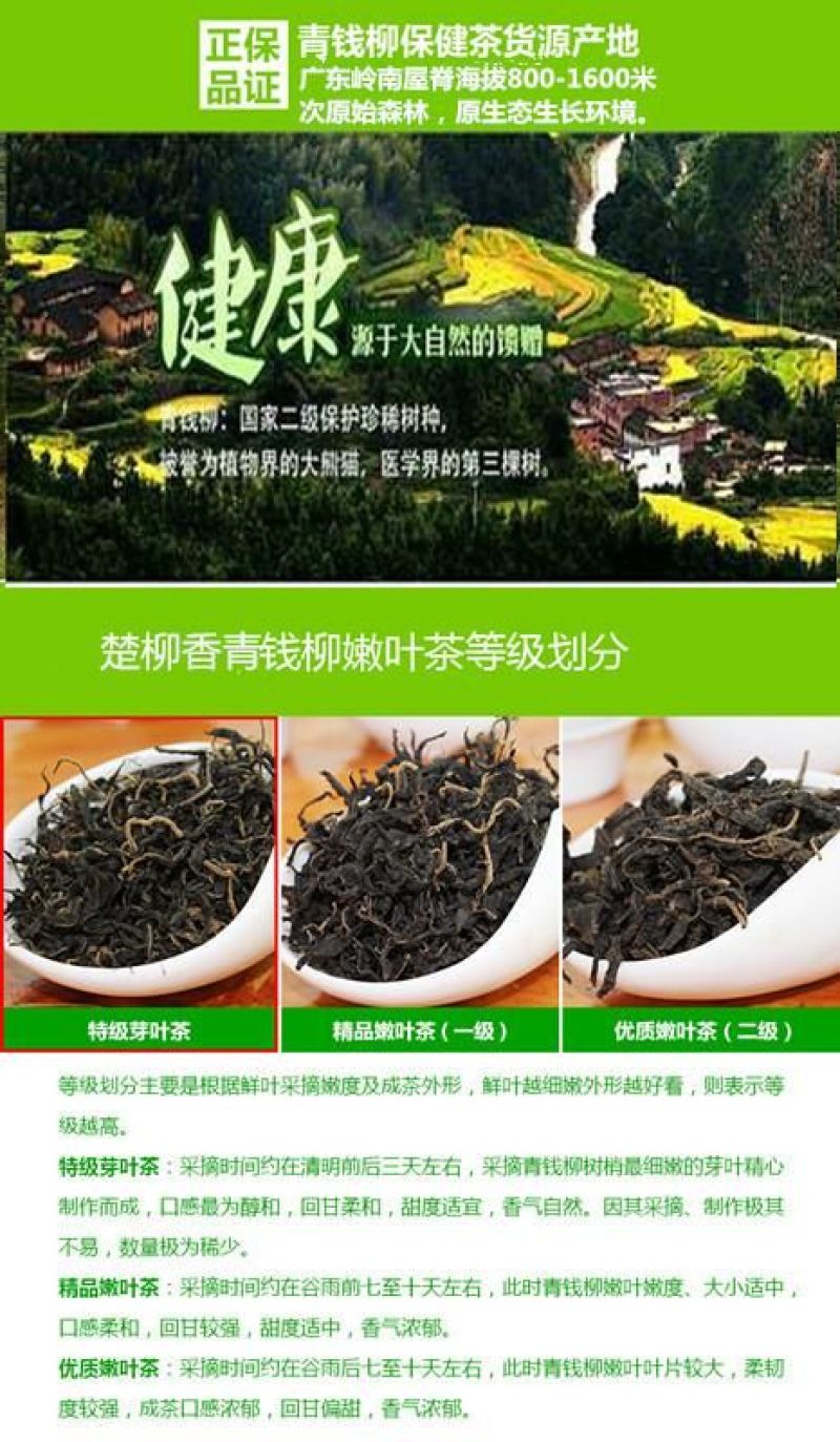 青钱柳茶一级