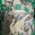 梧桐根河北干货人工种植量大从优常年经营各种中药材