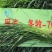 黑麦草种子春秋播种，早春即可生长，耐寒，生长力强。