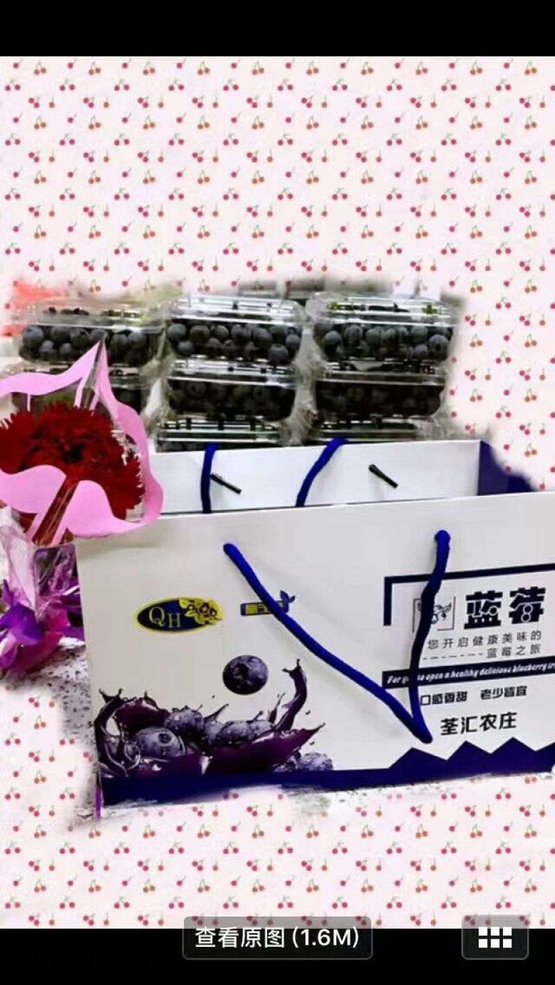 北陆蓝莓鲜果4~6mm以上