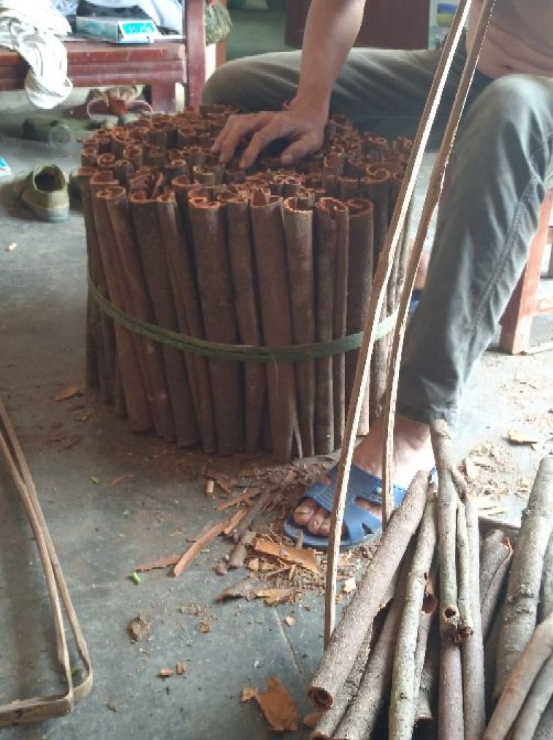 桂皮散装一级