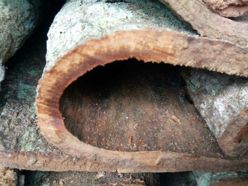桂皮散装一级
