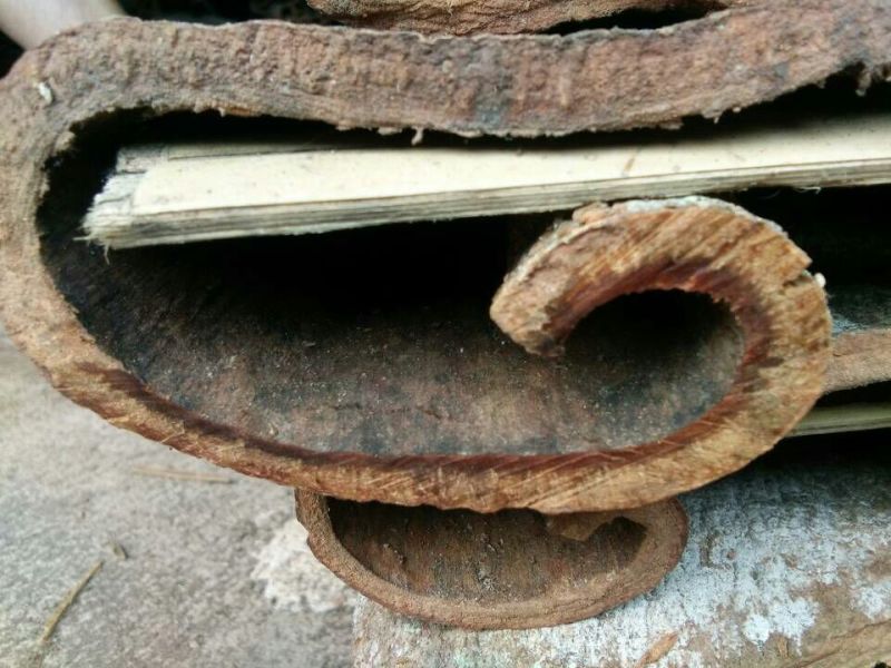 桂皮散装一级