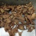 优质白芨量大从优精品保证一手货源之选批发