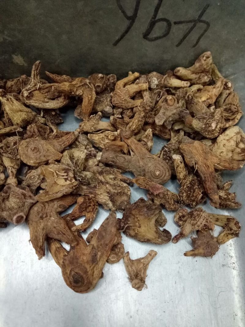 优质白芨量大从优精品保证一手货源之选批发