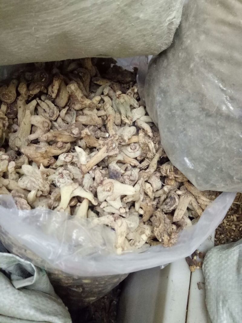 优质白芨量大从优精品保证一手货源之选批发