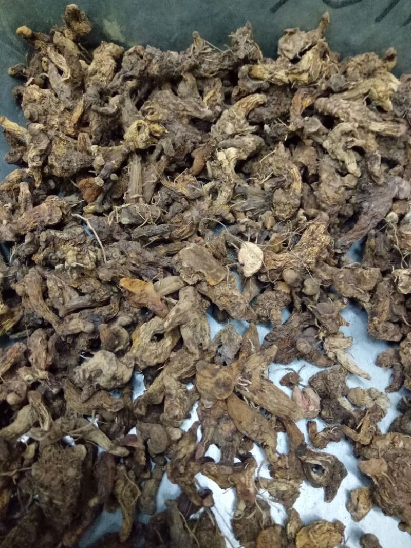 优质白芨量大从优精品保证一手货源之选批发