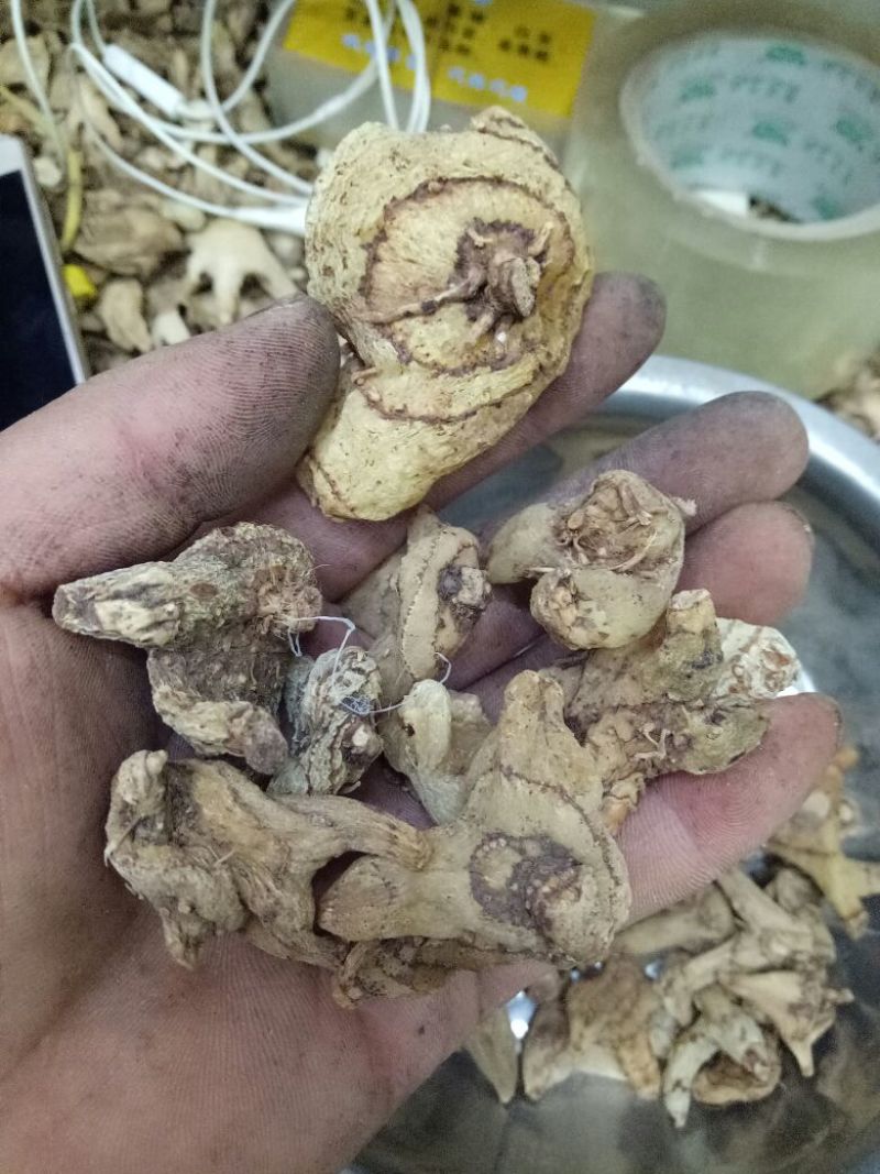 优质白芨量大从优精品保证一手货源之选批发