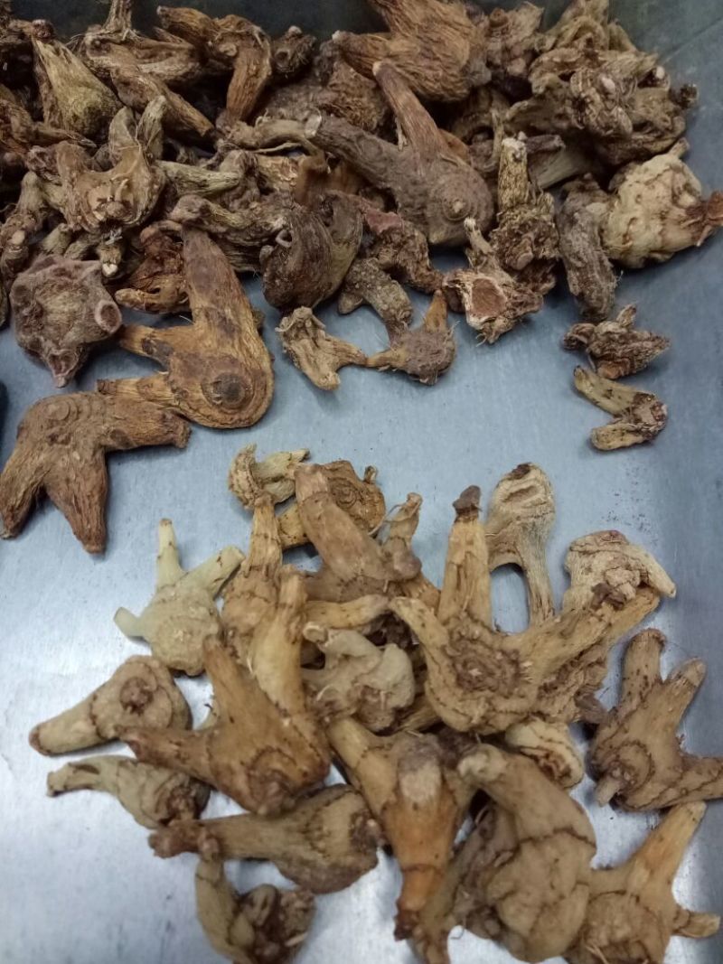 优质白芨量大从优精品保证一手货源之选批发