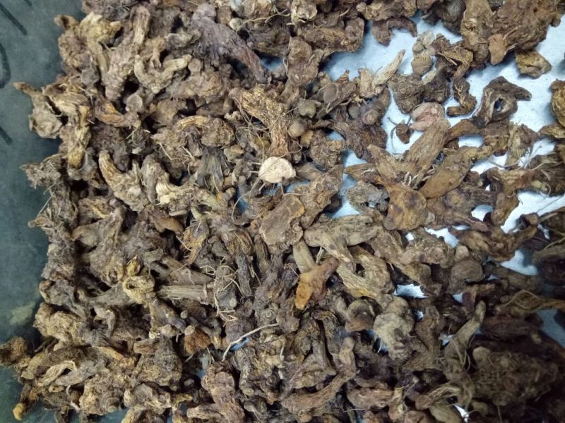 优质白芨量大从优精品保证一手货源之选批发