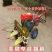 收割机小型收割机