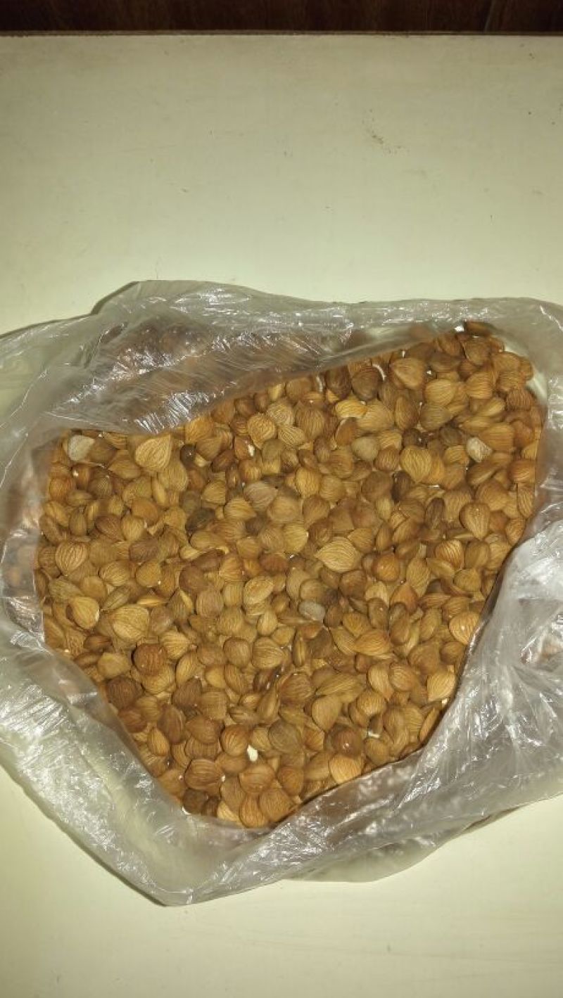 山杏仁特级
