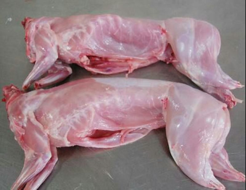 兔肉，农户自己养的兔子