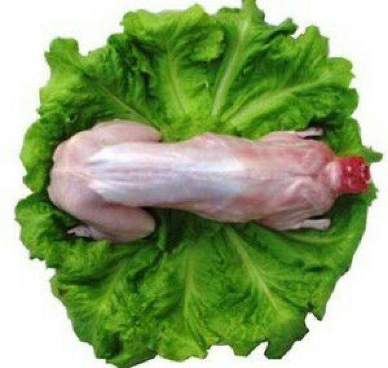 兔肉，农户自己养的兔子