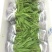 紫色三叉白芨种芽药典品种