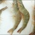 基围虾食用活虾